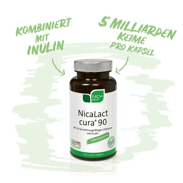 NicaLact cura® 90 - Zur Ansiedelung nützlicher Darmbakterien - 5 Milliarden Keime pro Kapsel-Reinsubstanz, Glutenfrei, Laktosefrei