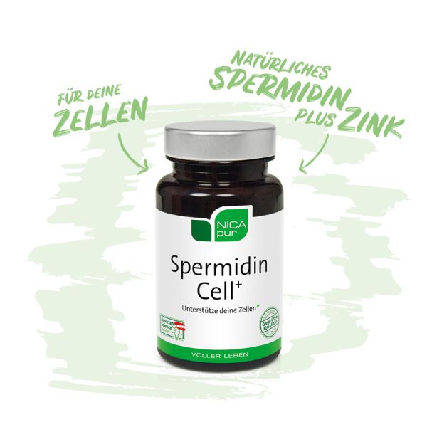 Spermidin Cell+ | Unterstütze deine Zellen | Reinsubstanz, Glutenfrei, Laktosefrei, Vegan 